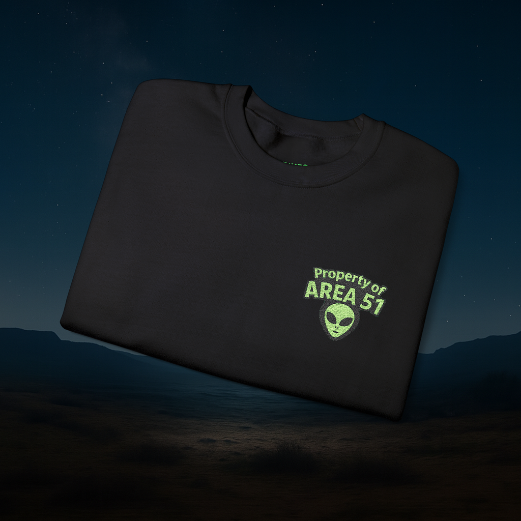 Black sweatshirt with 'Property of Area 51' alien graphic on a dark background
